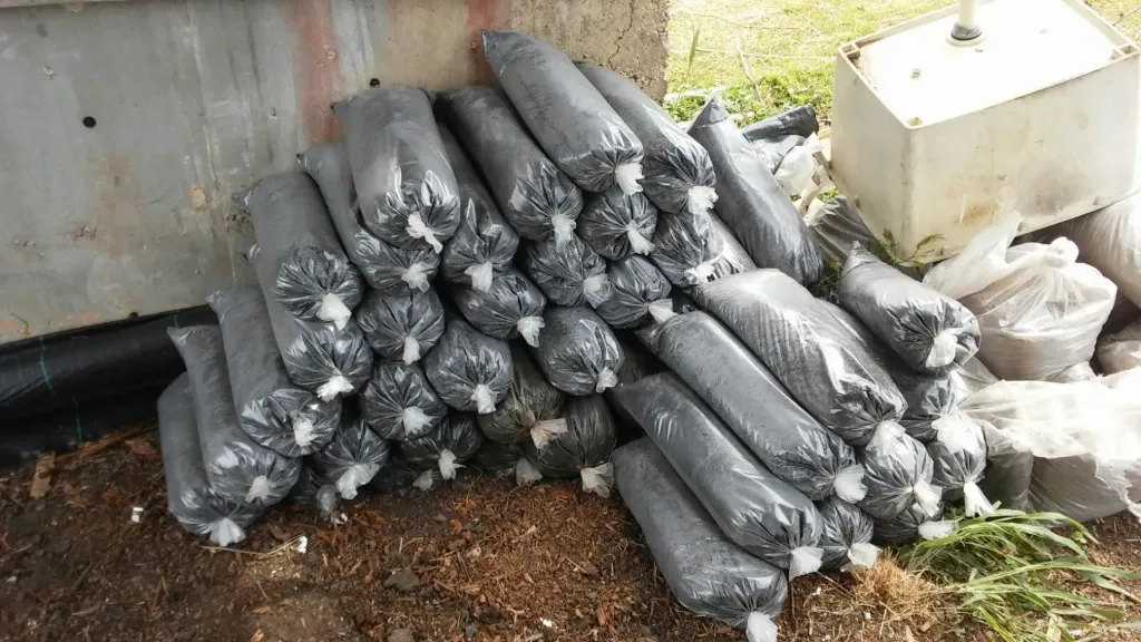 Composta Bolsa