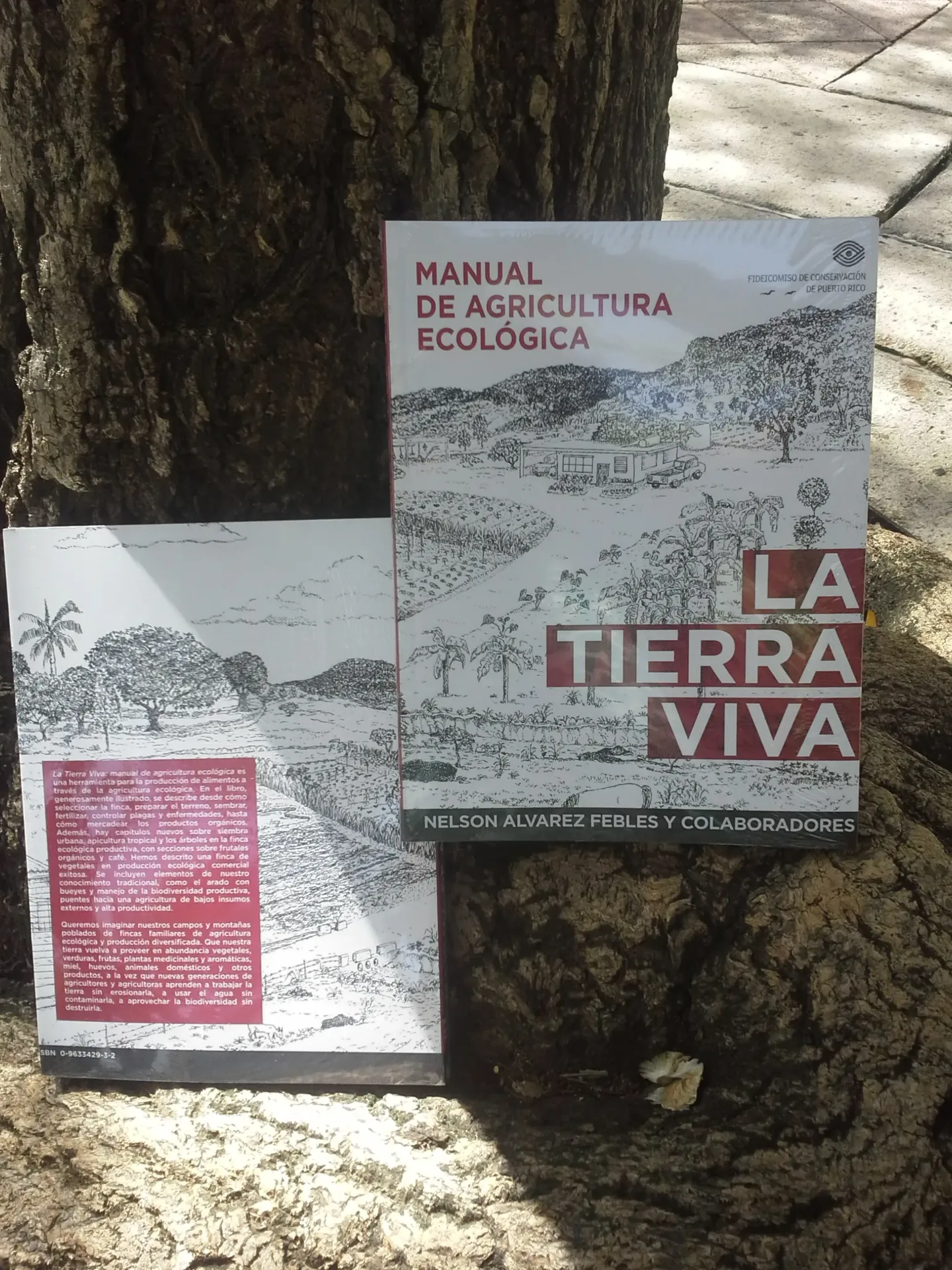 La Tierra Viva