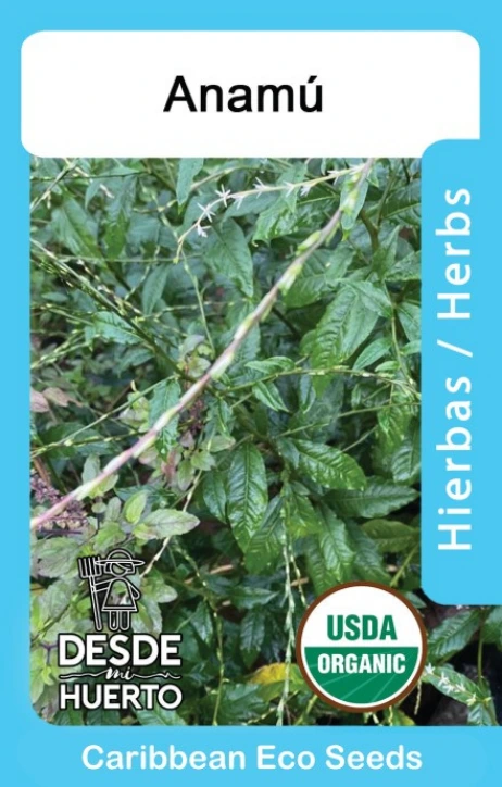 Anamu \ Guinea Hen weed