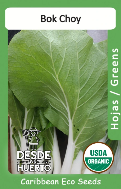 Bok Choy