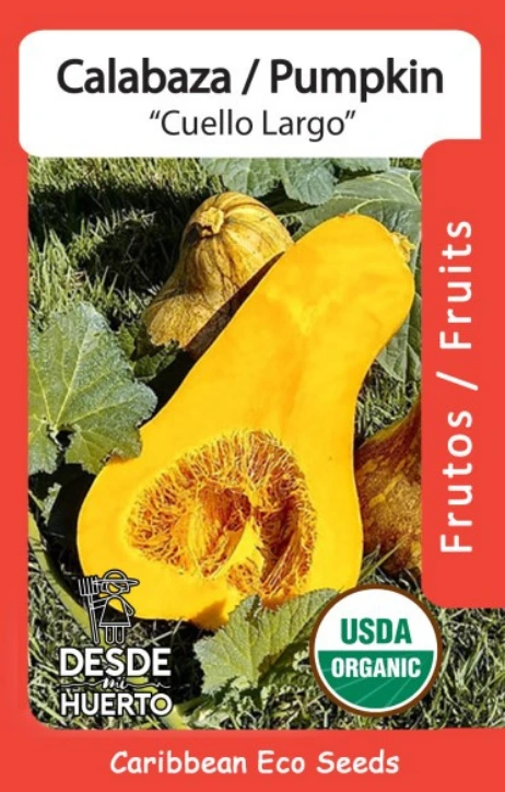 Calabaza \ Pumpkin"Cuello Largo" (Paquete (12 semillas aprox))