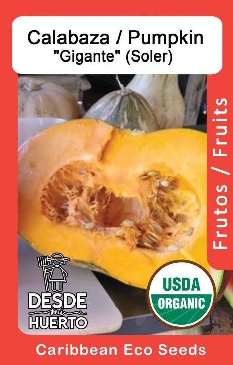 Calabaza \ Pumpkin "Soler"