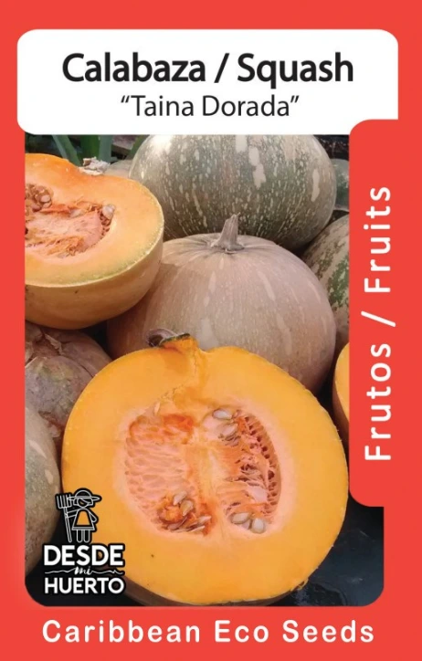Calabaza \ Pumpkin "Taina Dorada" (Paquete (12 semillas aprox))