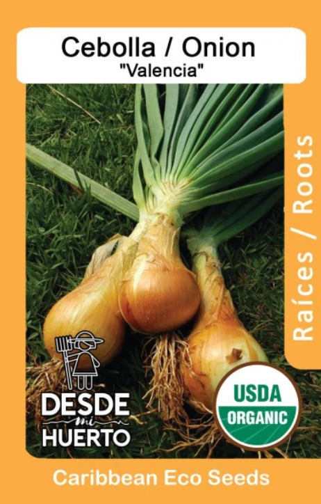 Cebolla \ Onion "Valencia"