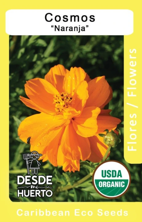 Cosmo Orange "Naranja Doble"