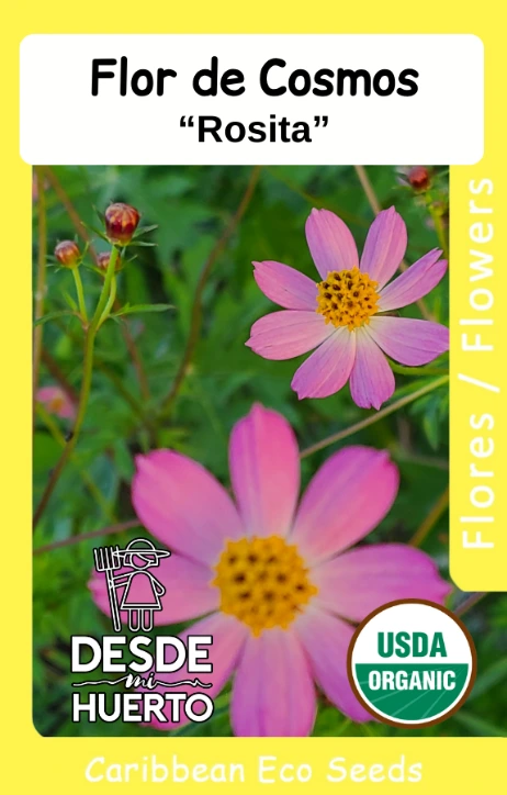 Cosmo Pink "Rosita"