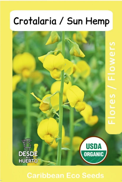 Crotalaria \ Sun Hemp (Paq)
