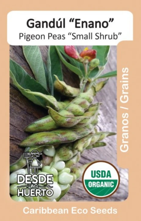 Gandul \ Pigeon Peas "Lázaro o Enano"