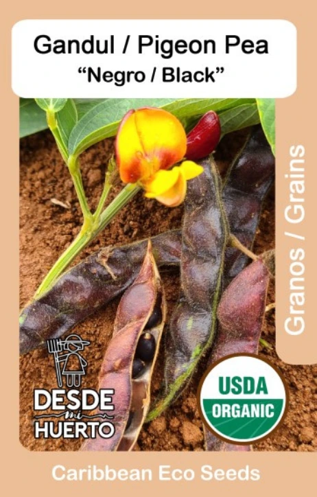 Gandul \ Pigeon Peas Black "Negro"