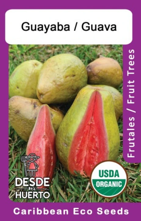 Guayaba \ Guava Pear "Pera"