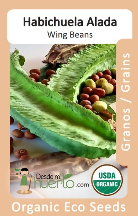 Habichuelas \ Bean "Alada" (Paquete (12 sem aprox))