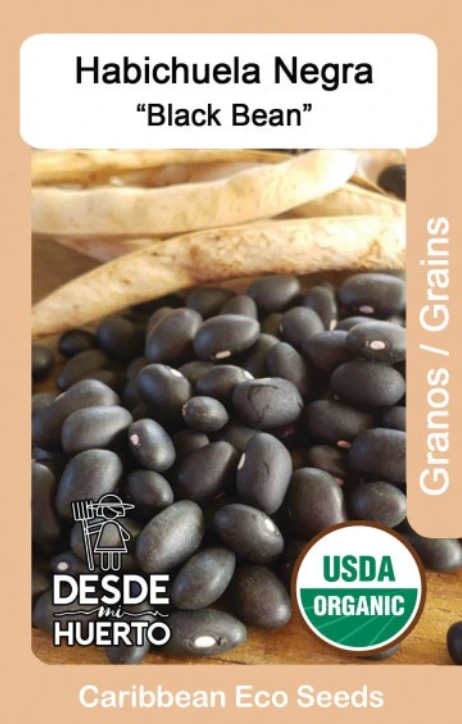 Habichuela "Negra" \ Black Bean