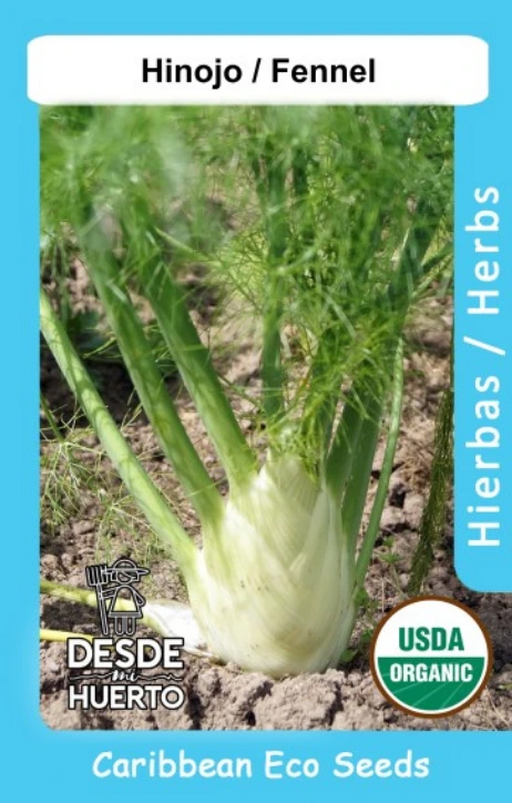 Hinojo \ Fennel