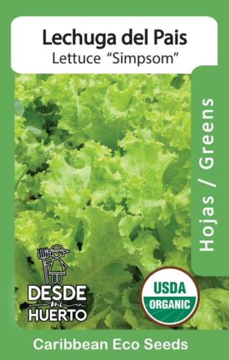   Lechuga del País \ Lettuce "Simpsom" (Paquete (200 sem aprox))