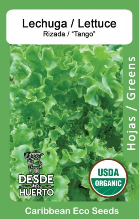 Lechuga \ Lettuce "Tango"
