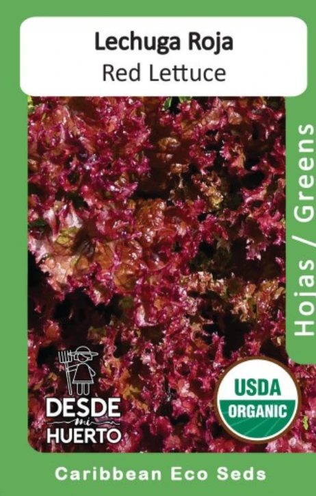 Lechuga \ Lettuce "Red Salad Bowl"