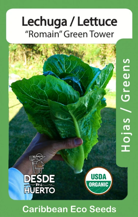 Lechuga Romana \ Lettuce Romain "Green Tower" (Paquete (80 sem aprox))