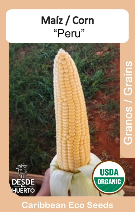 Maiz \ Corn "Perú"