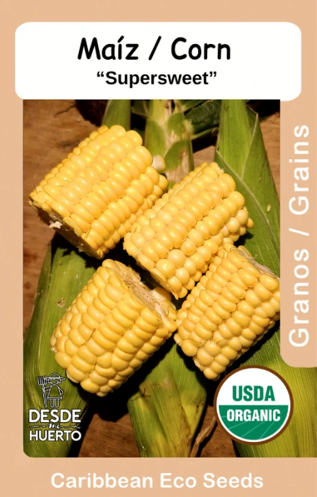 Maiz "Superdulce" \ Corn "Supersweet"
