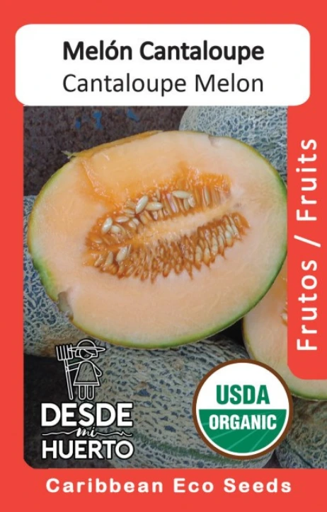 Melon "Cantaloupe" (Paquete (20 sem aprox))