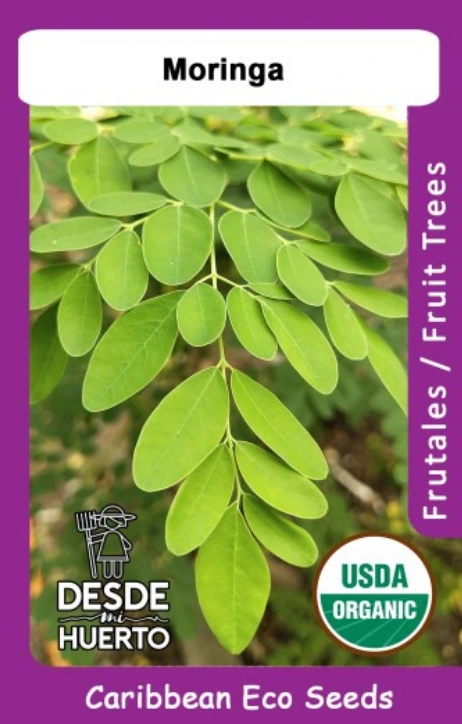 Moringa