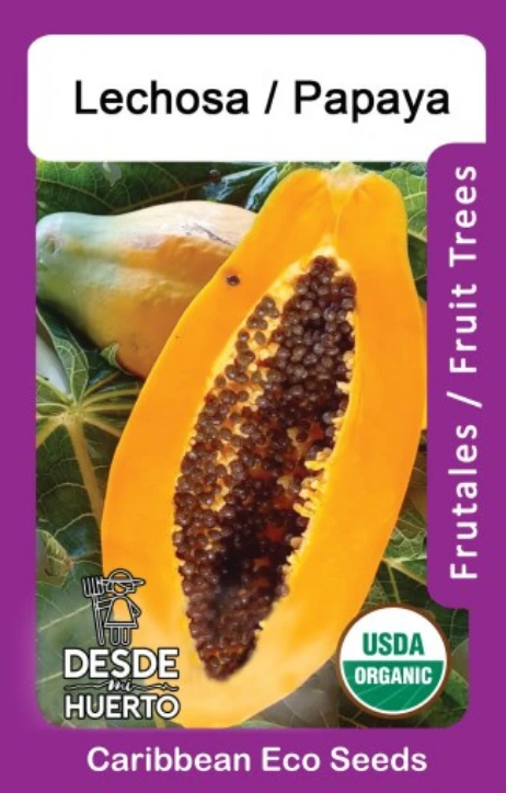 Papaya "Criolla"