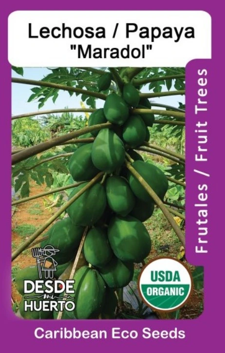 Papaya Enana"Maradol"