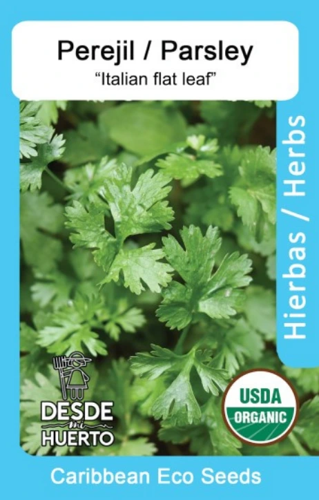 Perejil \ Parsley "Italian Flat Leaf" (Paquete (25 sem aprox))