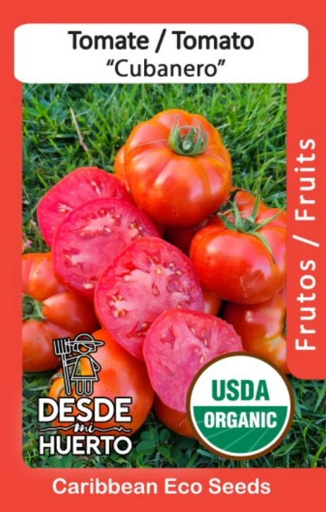 Tomate \ Tomato "Cubanero" (Paquete (60 sem aprox))