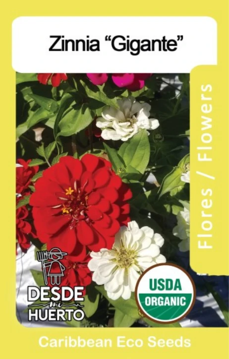 Zinnia "Gigante"