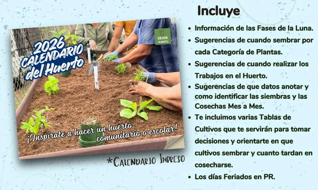 Calendario de Siembra de Huerto 2026 \ Calendar 
