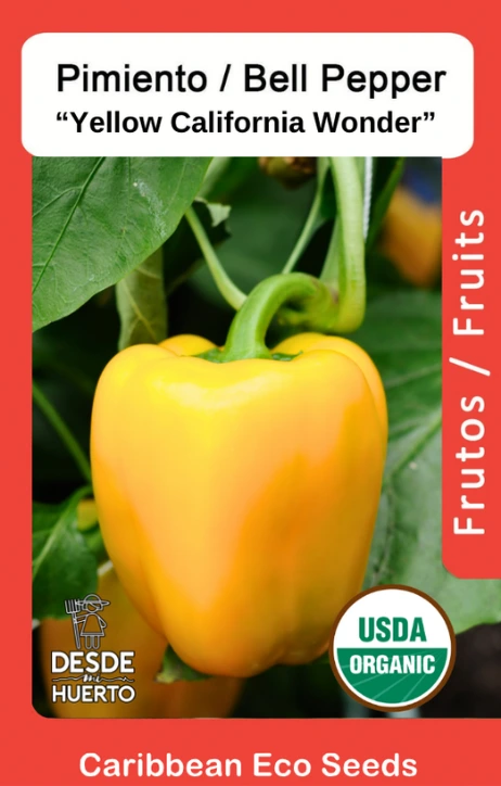Pimiento Morron Amarillo \ Bell Pepper Yellow