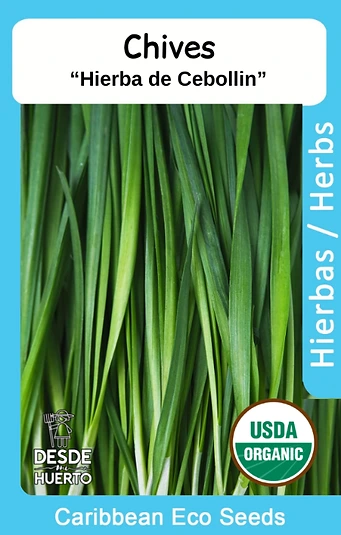 Chives / Hierba de Cebollin