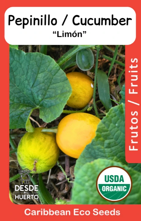 Pepinillo \ Cucumber Lemon "Limon"