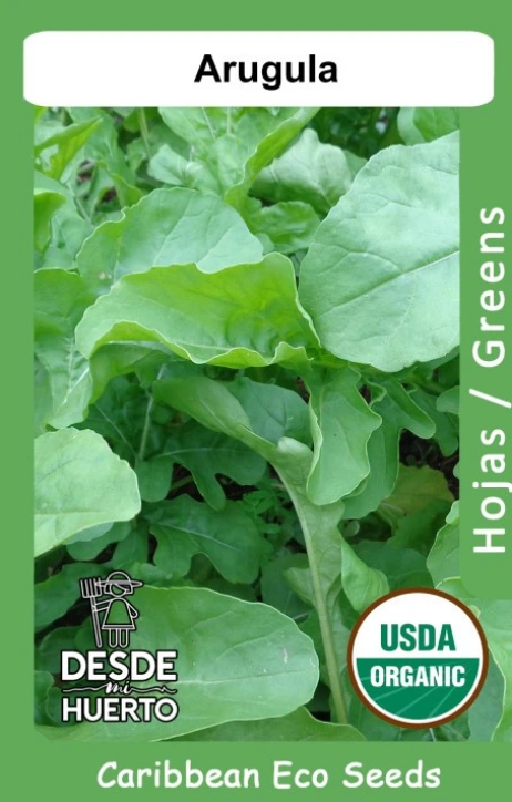 Arugula (Paquete (200 semillas aprox))