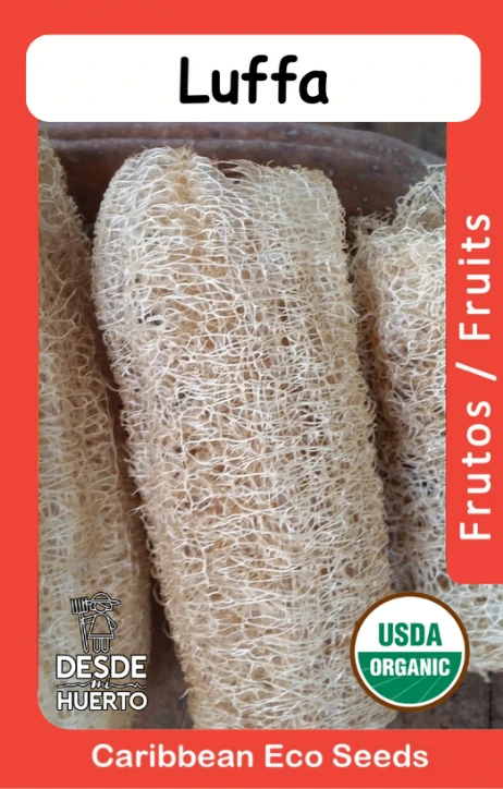 Luffa (Paquete (10 sem aprox))