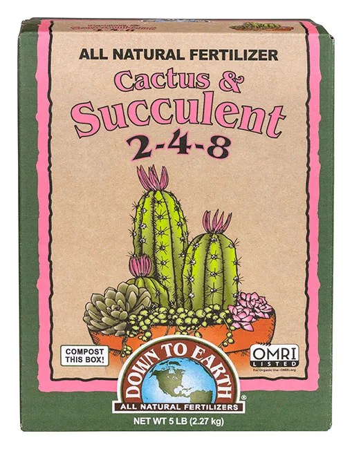 Cactus and Suculent 2-4-8