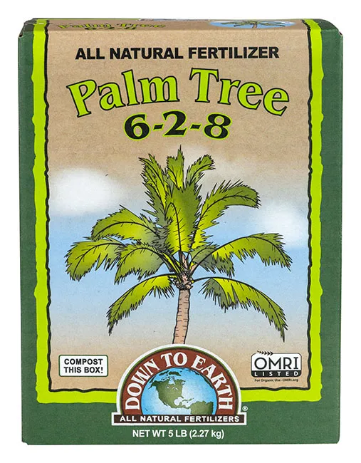 Palm Tree 6-2-8