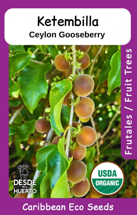 Ketembilla \ Ceylon Gooseberry