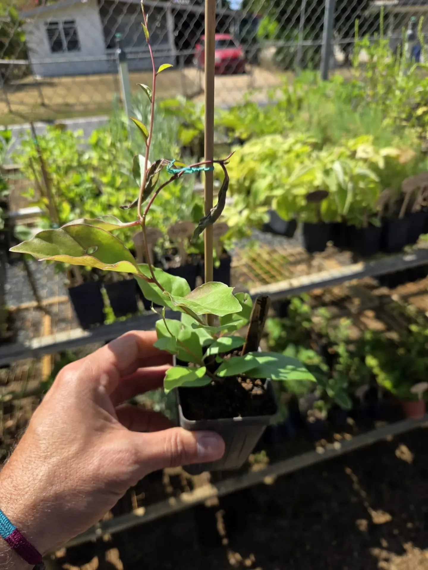 Planta de Suelda Consuelda