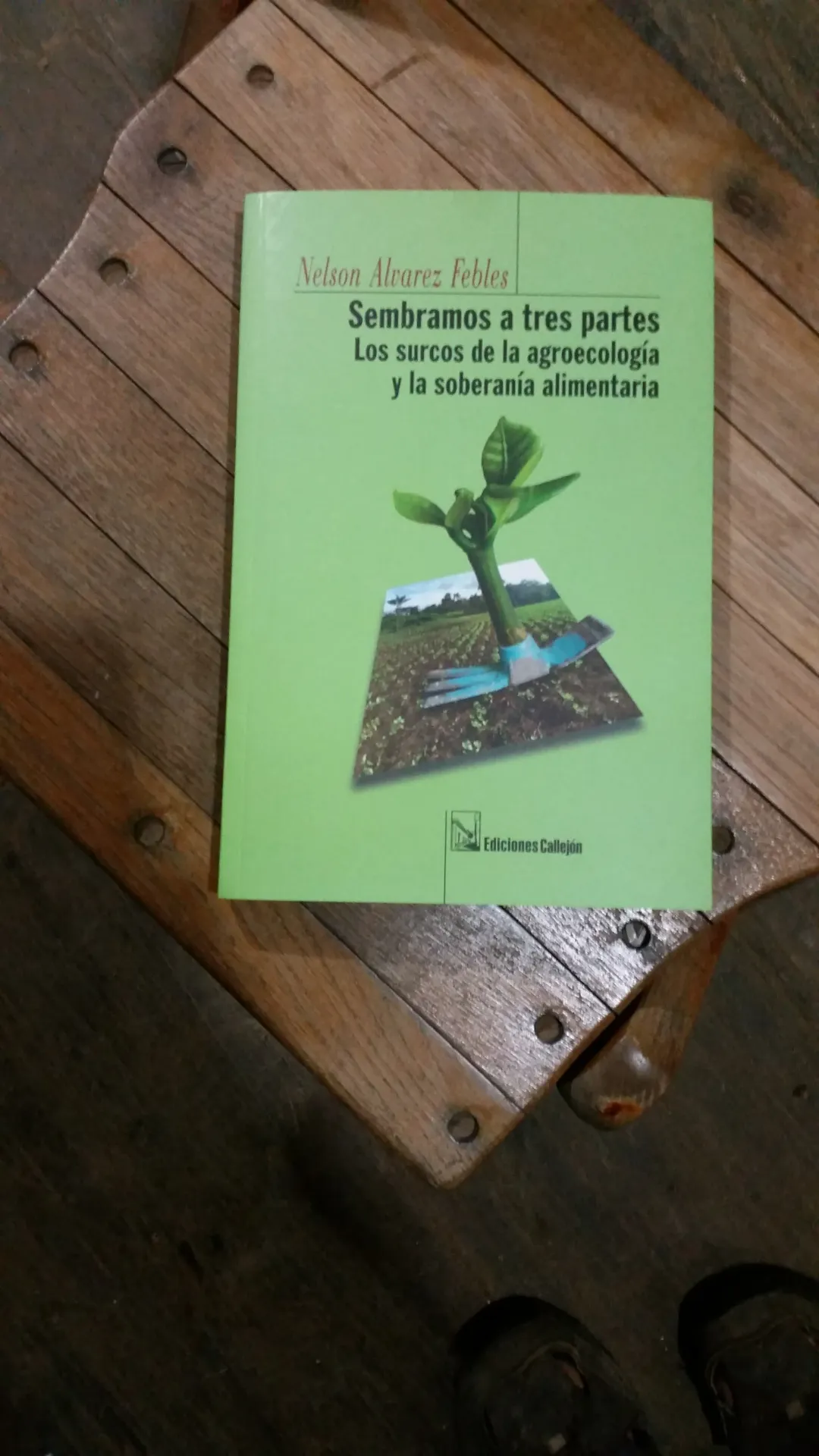 Sembramos a 3 partes
