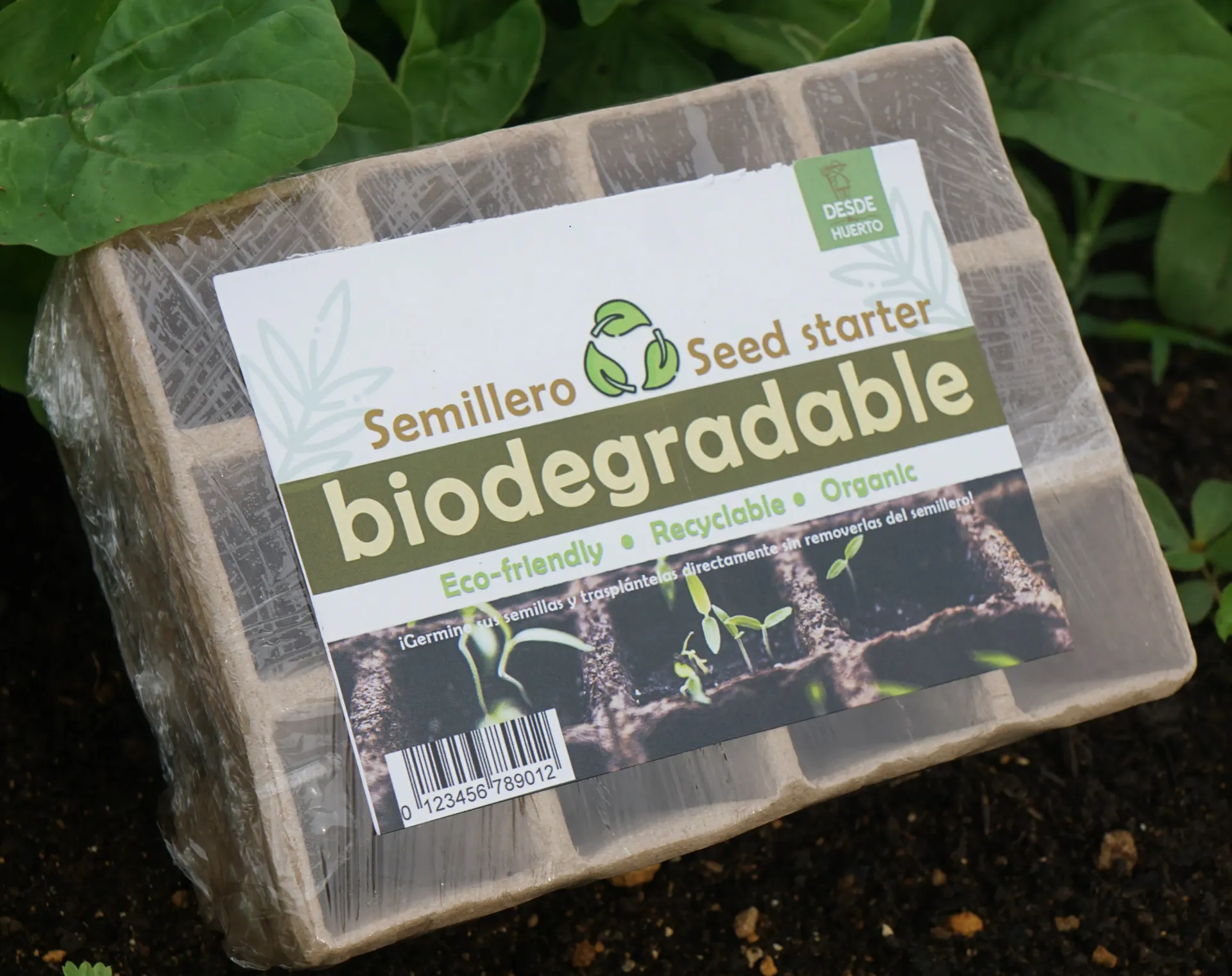 Semilleros Biodegradables de 12 pk of 5 \ Biodegredable Seed Tray