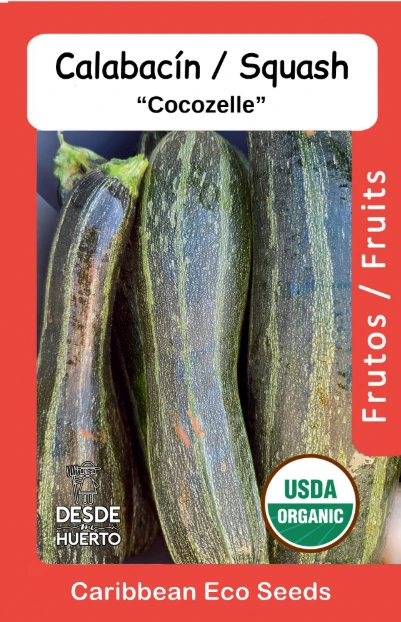 Calabacin \ Zucchini "Cocozelle" (Paquete (12 semillas aprox))