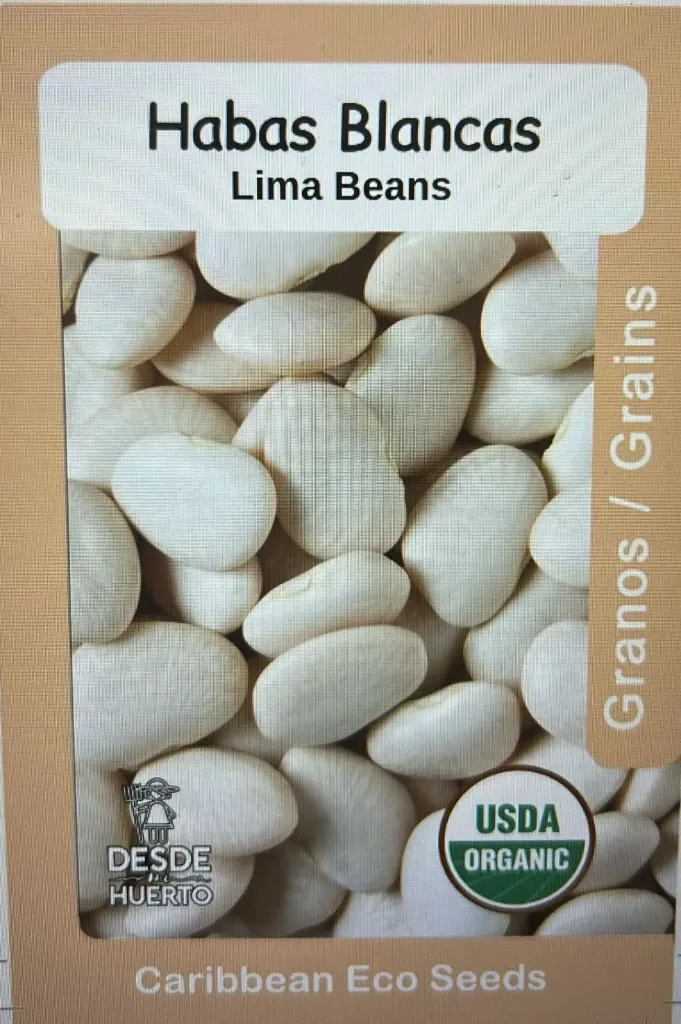 Lima Beans/ Habas Blancas