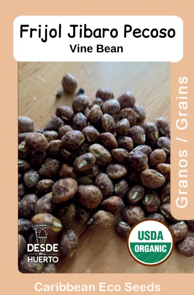 Vine Bean/ Frijol Jibaro Pecoso
