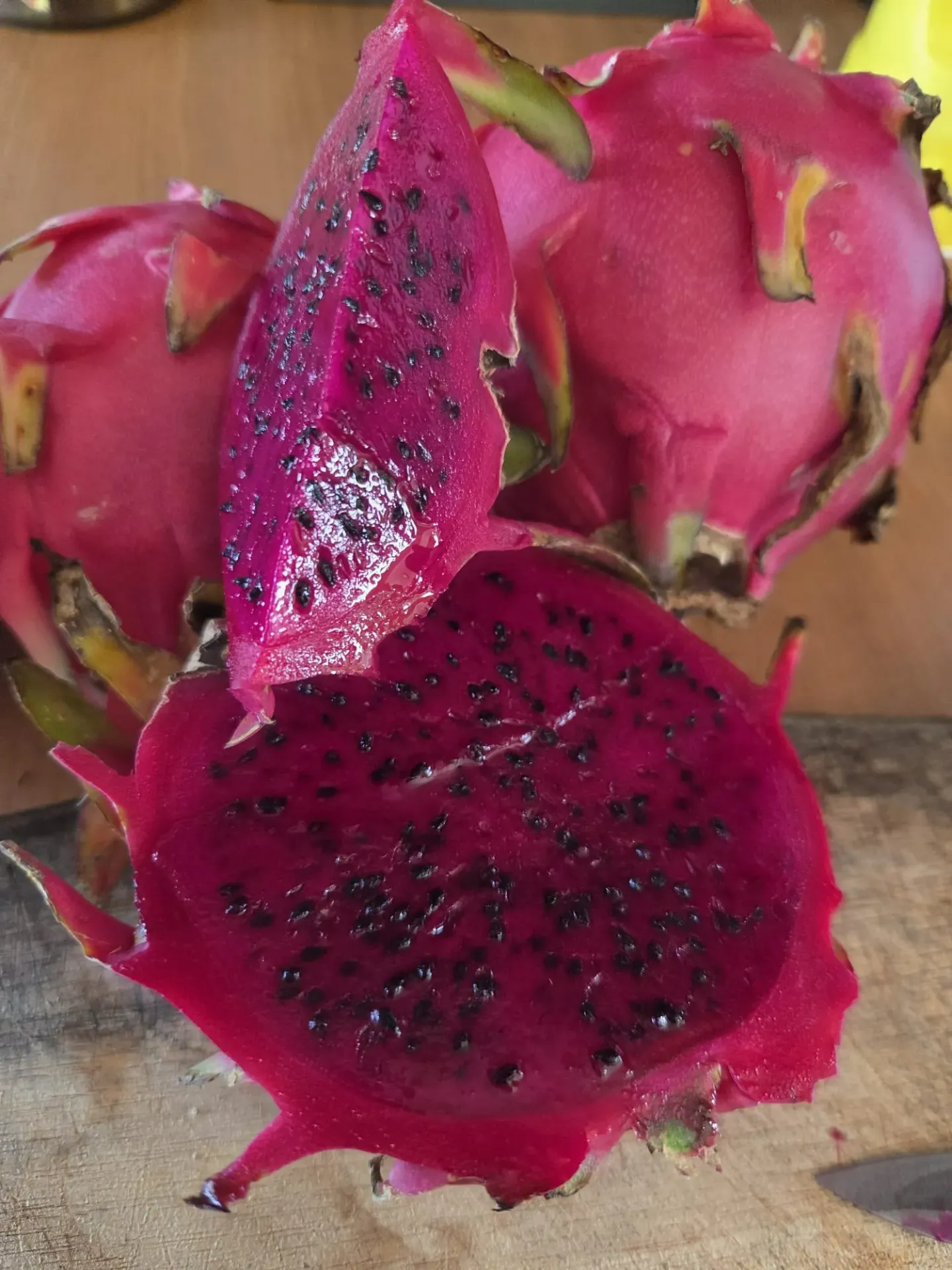 Planta de Pitahaya