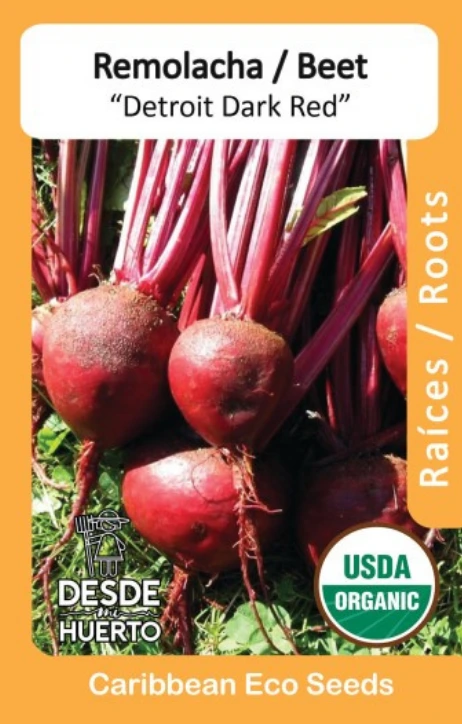 Remolacha \ Beet "Detroit"
