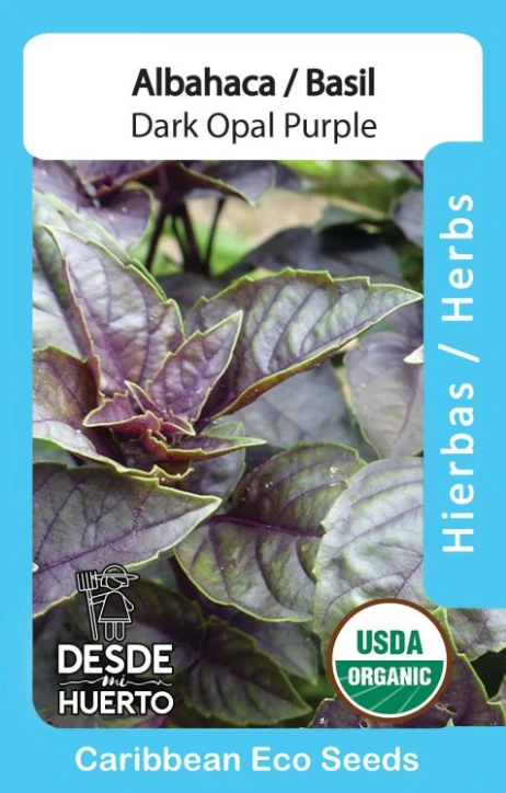 Albahaca \ Basil "Morada" (Paq $2.75)