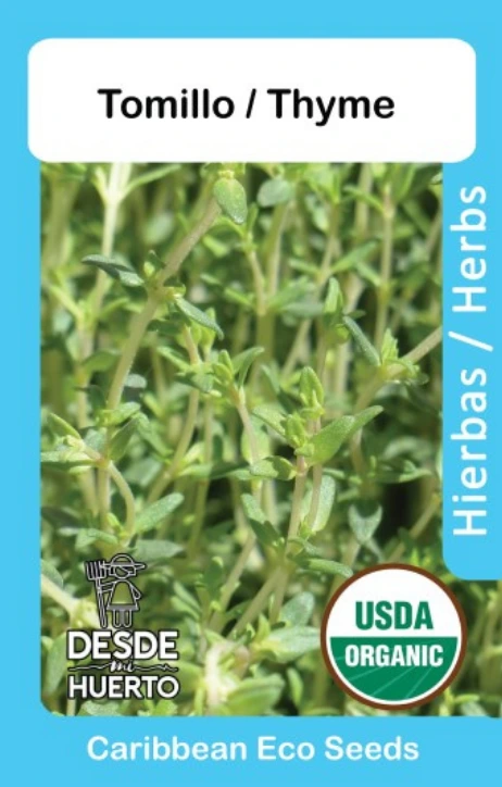 Tomillo \ Thyme