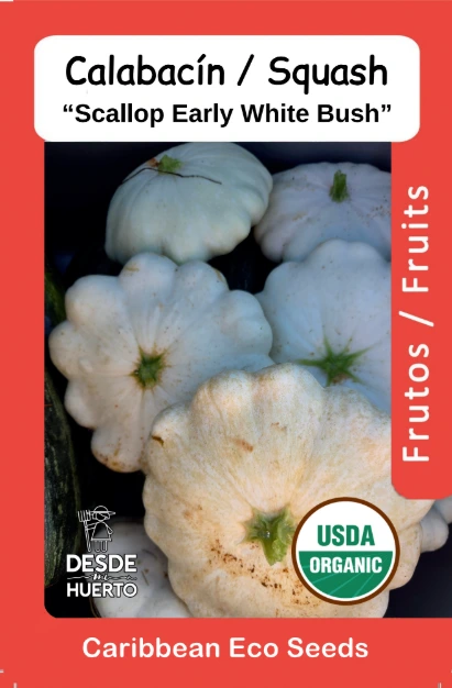 Calabacin \ Zucchini "Scallop" (Paquete (12 semillas aprox))